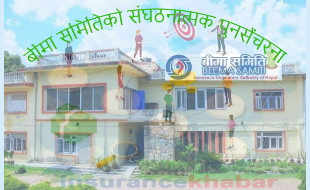 बीमा समितिको संगठनात्मक पुनसंरचना हुँदै , दुई उप कार्यकारी निर्देशक सहित चार निर्देशक थपिने