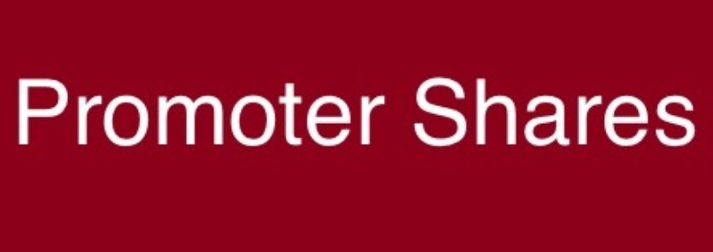 स्वरोजगार लघुवित्तको संस्थापक शेयर बिक्रीमा