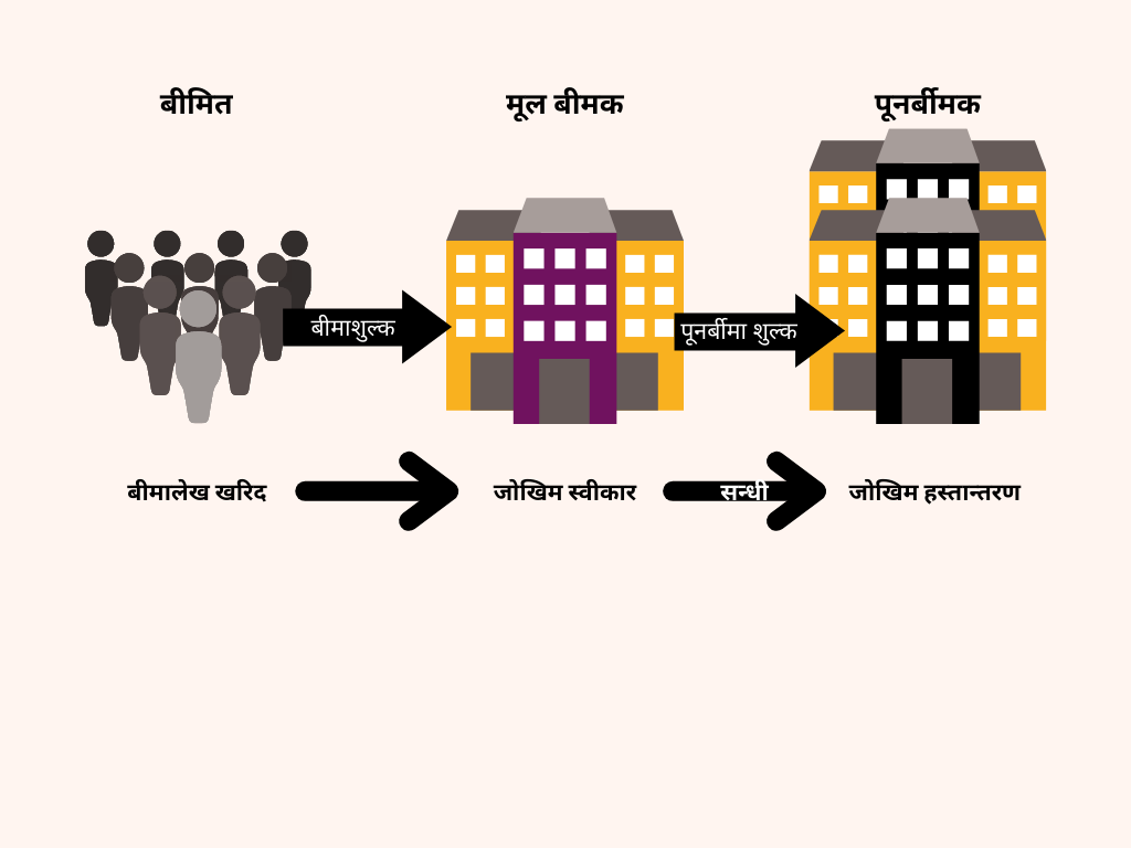 के बीमा कम्पनीले सबै जोखिम आफैंले व्यहोर्छ ?