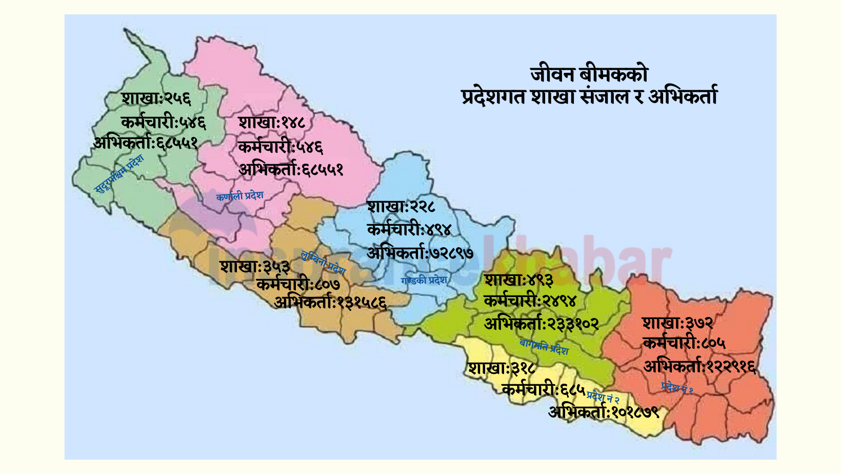 जीवन बीमा कम्पनीको सञ्जाल विकेन्द्रित हुँदै