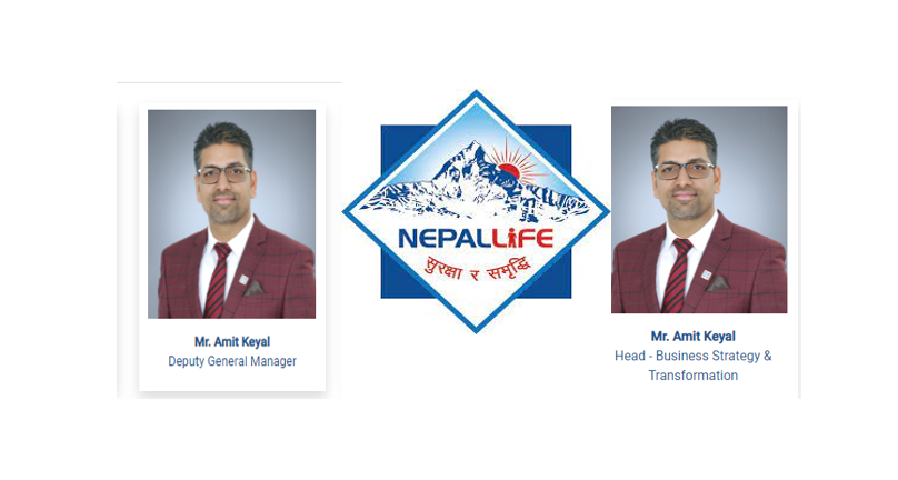 कयालको पृष्ठपोषण गर्न नेपाल लाईफको संगठनात्मक संरचना नै गञ्जागोल