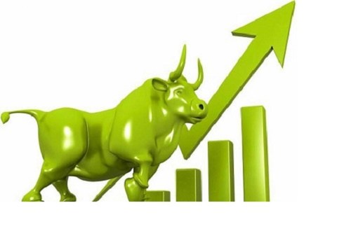 दुई पुनर्बीमा सहित यी हुन् उच्च कारोबार भएका कम्पनी