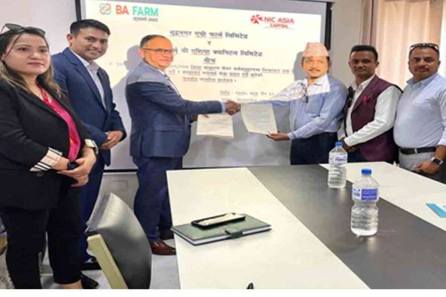 बुद्धनगर एग्रोले आइपीओ निष्काशन गर्ने, नियुक्त गर्यो बिक्रि प्रबन्धक