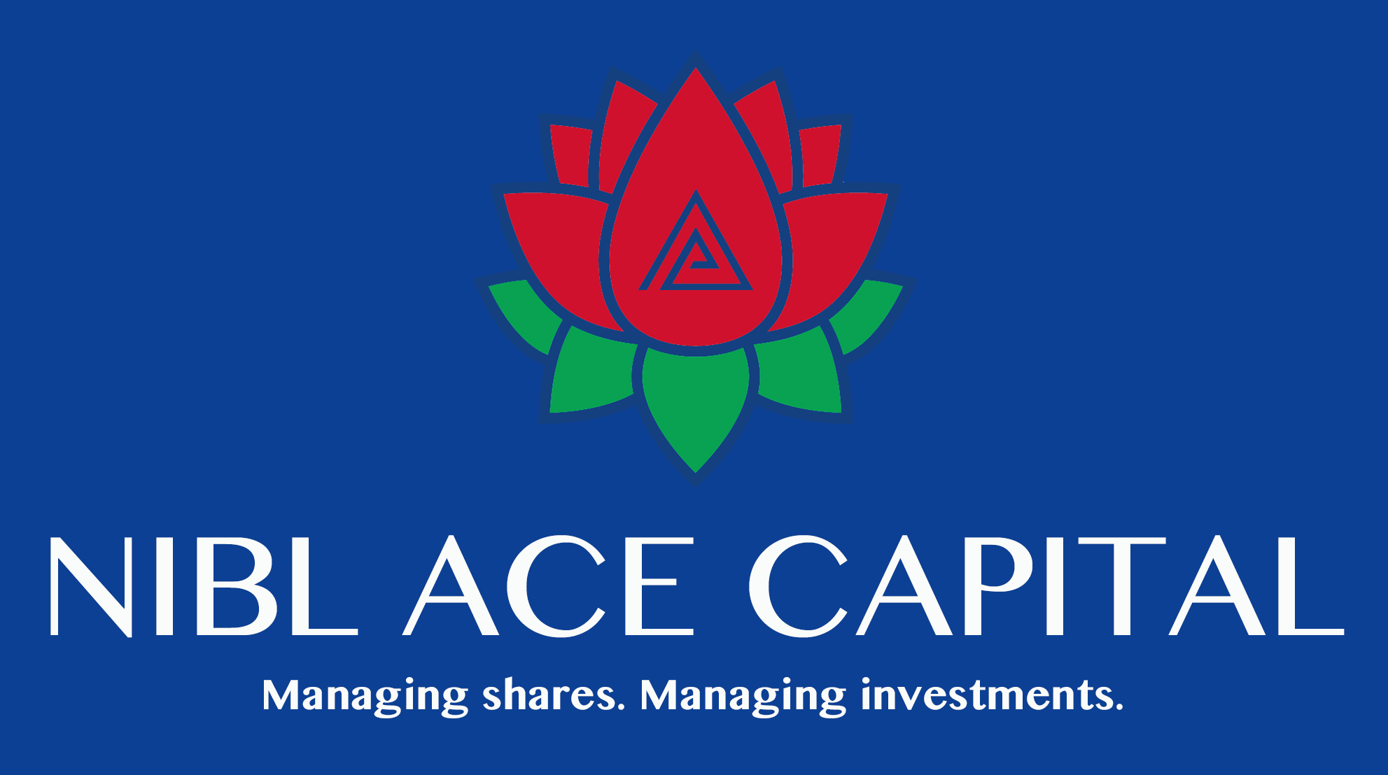 एनआइबिएल एस क्यापिटलमा रोजगारीको अवसर