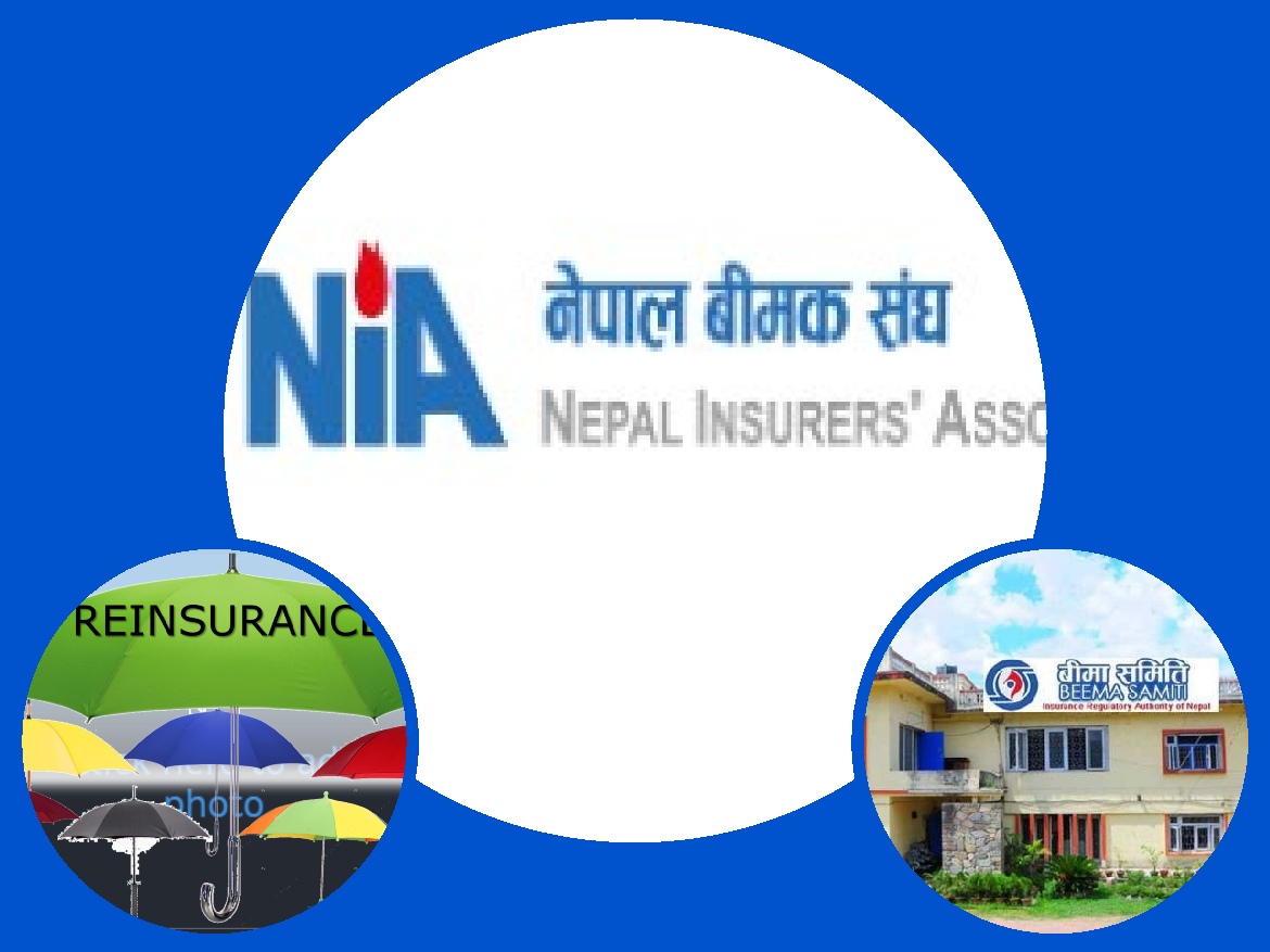 स्वदेशी पुनर्बीमा कम्पनीलाई डाइरेक्टसेसन बाहेक ५ प्रतिशत व्यवसाय थप्ने व्यवस्था गर्न बीमक संघको सुझाव