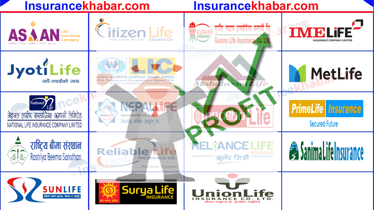 शेयर बजारको चरम गिरावटले बीमा कम्पनीको मुनाफा घट्यो, १९ कम्पनीको मुनाफा ४ अर्ब २९ करोड (सूचिसहित)