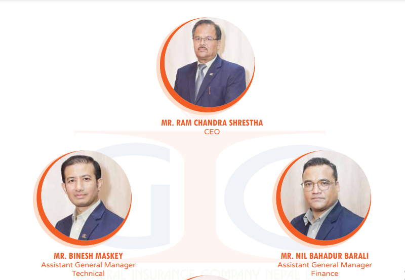 जनरल इन्स्योरेन्सको उच्च व्यवस्थापन तहका कर्मचारीले बुझे एक करोड तलब भत्ता, कसको कति ?