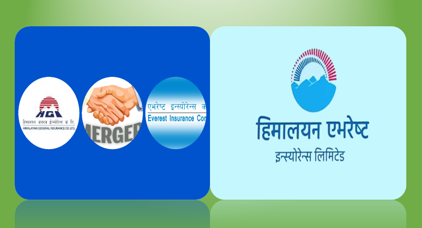 सफल मर्जर पछि हिमालयन एभरेष्टको व्यवसायमा प्लस, सिनर्जी इफेक्ट देखिन बाँकी  