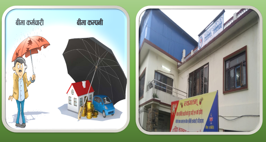 क्षमता नभएका शाखालाई दाबी भुक्तानीको अख्तियारी दिनु घातक, कर्मचारीको दक्षताका लागि खर्चै गर्दैनन् कम्पनी