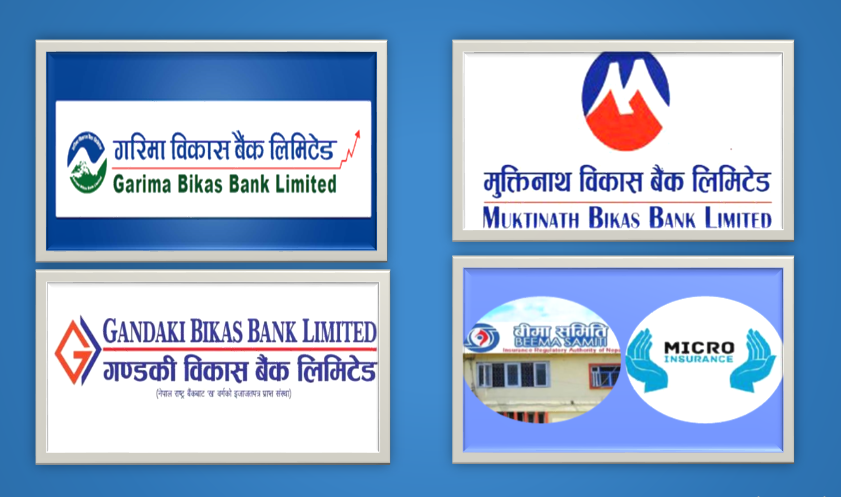 माइक्रोइन्स्योरेन्समा विकास बैंकको मोह : गरिमा, मुक्तिनाथ र गण्डकीले दिए आवेदन