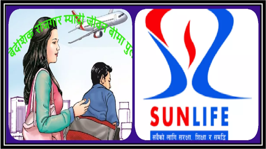 बैदेशिक रोजगार बीमाको ५३ प्रतिशत बजार सन नेपालको कब्जामा, कुन कम्पनीको कति (सूचीसहित)