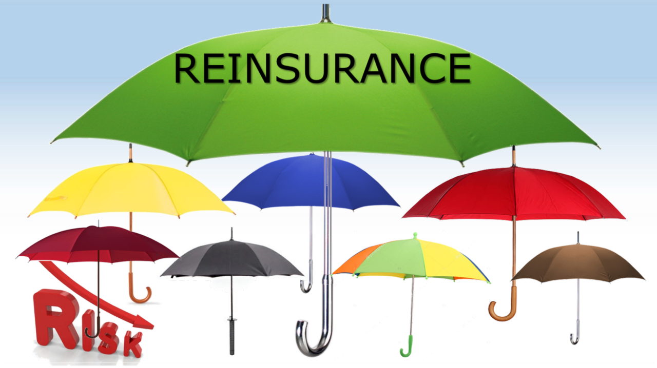 पूनर्बीमा के हो ? पूनर्बीमा कम्पनीलाई कसरी जोखिम हस्तान्तरण गरिन्छ?