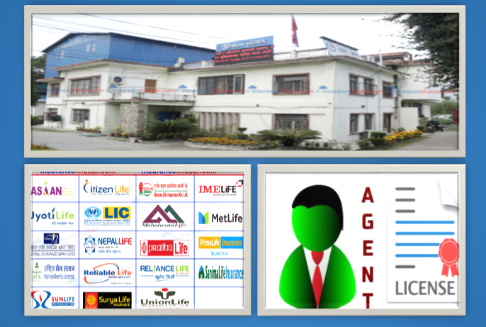 ४२ प्रतिशत अभिकर्ताले नविकरण गरेनन्, कुन कम्पनीको वास्तविक अभिकर्ता संख्या कति(सूचिसहित)