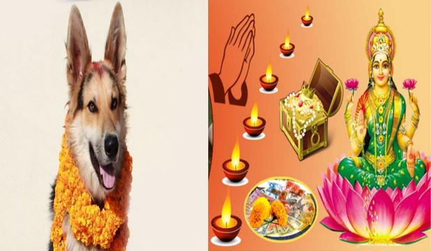 विशेष पूजाआजा सहित कुकुर तिहार मनाइदै, लक्ष्मी पूजा पनि आजै