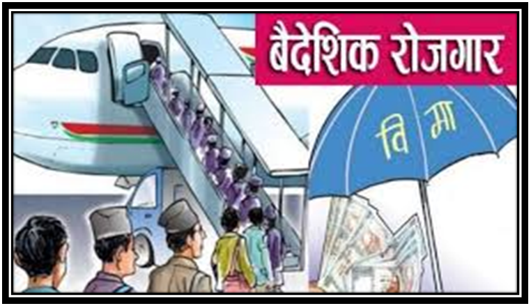 बैदेशिक रोजगार बीमा व्यवसाय ४५ प्रतिशतले बढ्यो, सन नेपालको बजार खोसियो