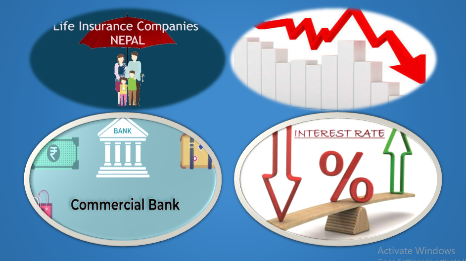 व्याजदर र शेयर बजारको राइटव्याक पछि जीवन बीमा कम्पनीको मुनाफा ७२ प्रतिशतले बढ्यो, हेर्नुहोस् सूचिसहित