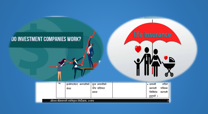 जीवन बीमकले इन्भेष्टमेन्ट कम्पनीको शेयरमा २८ अर्ब ७८ करोड लगानी गर्न सक्ने, कुन कम्पनीको क्षमता कति ?  