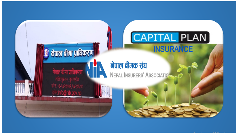 क्यापिटल प्लानको समय थप गर्न बीमा कम्पनीहरुको माग, नेपाल बीमक संघले प्राधिकरणमा प्रस्ताव लैजाने