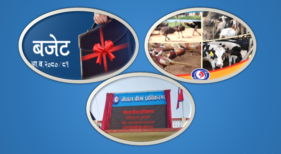 कृषि तथा पशुपन्छी बीमाको अनुदान स्थानीय निकायबाटै वितरण गर्न प्राधिकरणको सुझाव, अर्बौको वक्यौता