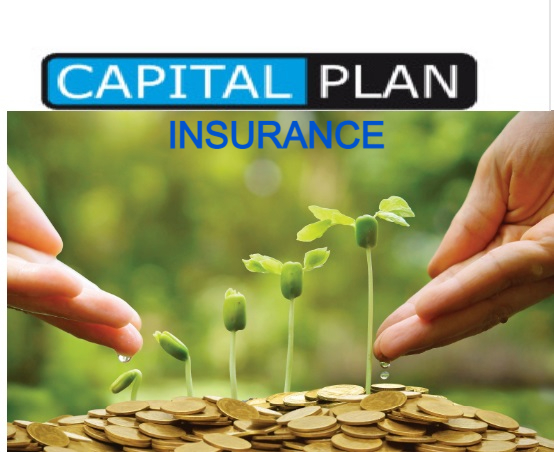 नेपालपछि इण्डोनेशियाले पनि ल्यायो बीमा कम्पनीको पूँजी दोब्बर पार्ने योजना