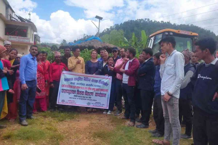 नेशनल लघुवित्तद्धारा कृषकहरुलाई निःशुल्क कागतिका विरुवा वितरण