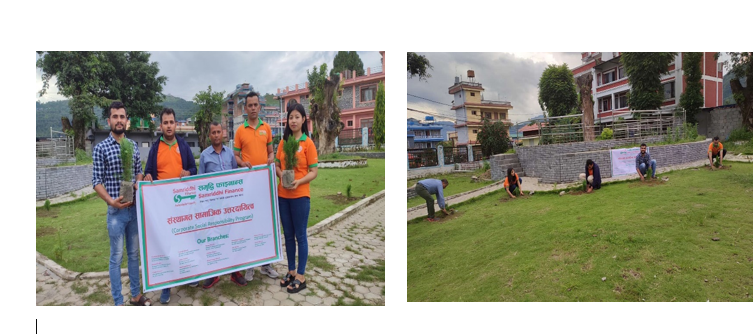 समृद्धि फाईनान्सको हेटौंडा र पोखरा शाखाबाट बृक्षारोपण कार्यक्रम सम्पन्न