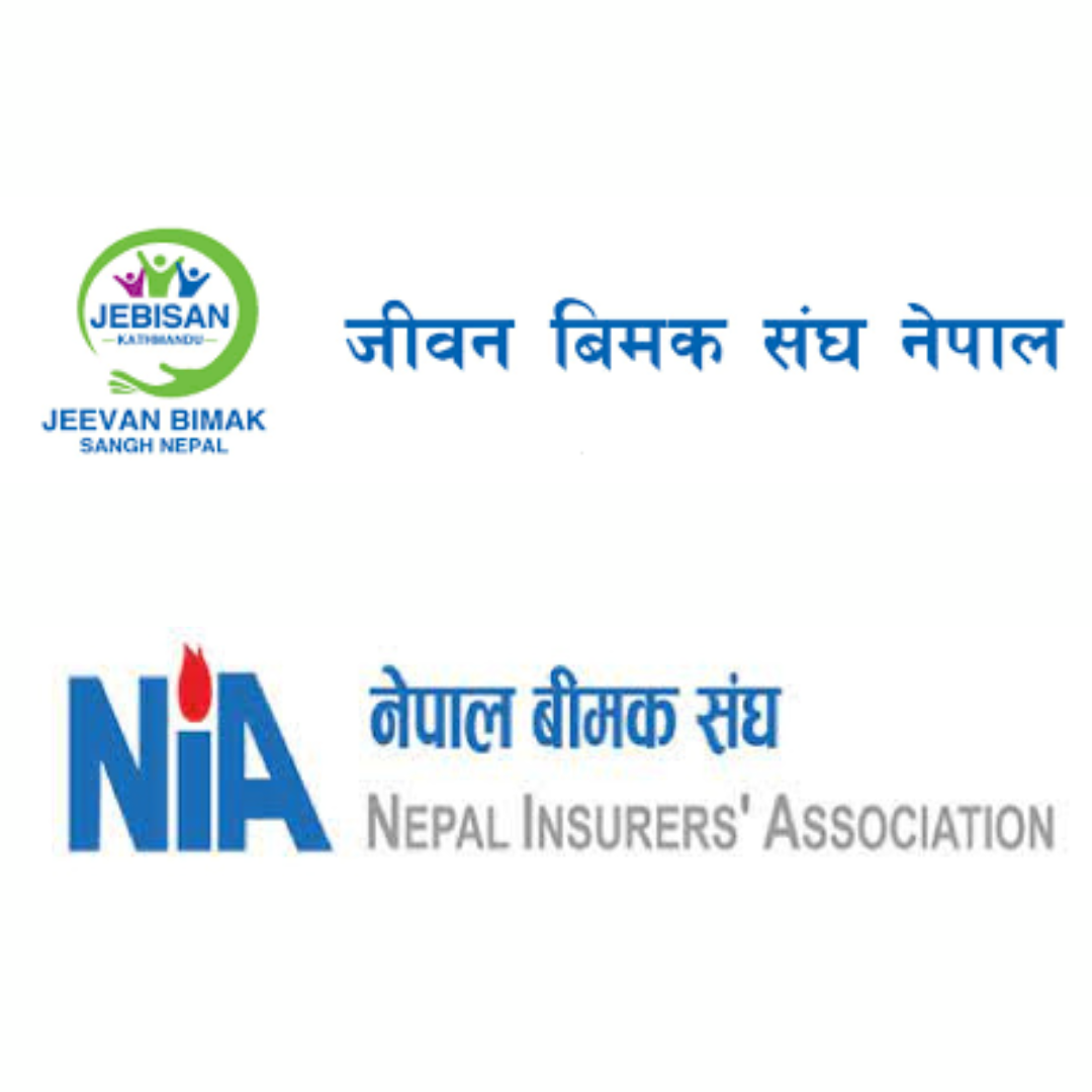 प्राधिकरणकाे शाखा कार्यालय निर्देशिकाले अप्ठेराेमा बीमक, भन्छन्: खर्च धान्न सकिन्न