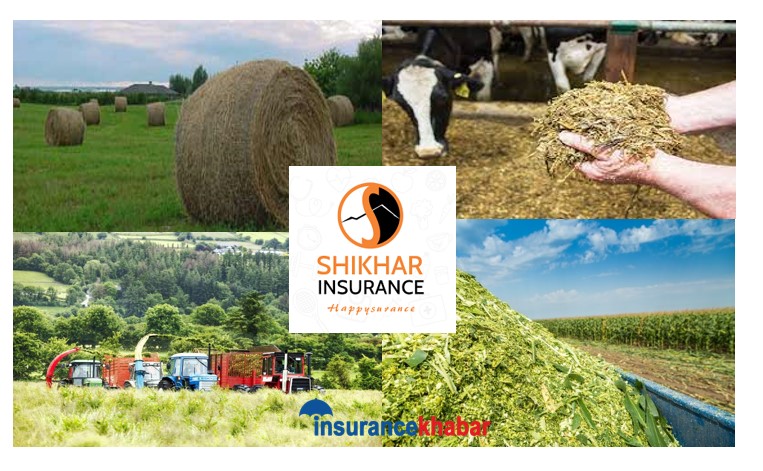 किसानका लागि वरदान हुन सक्छ साइलेज प्रविधि र साइलेज बीमा
