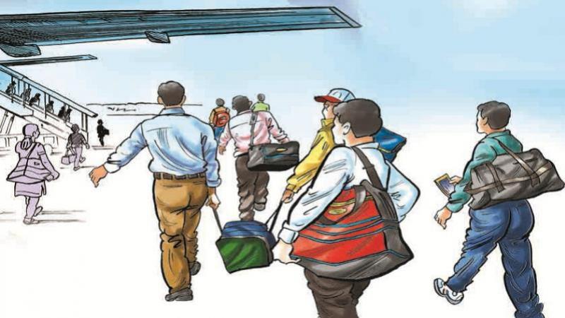 वैदेशिक रोजगार बीमाको झण्डै ७० प्रतिशत हिस्सा चारवटा कम्पनीको कब्जामा