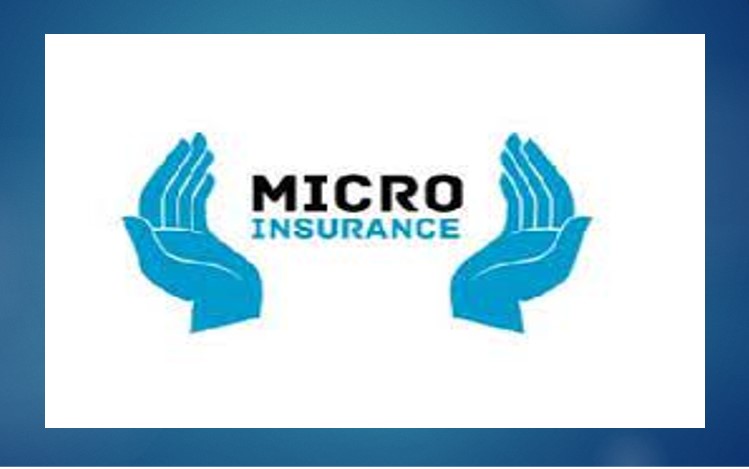 नेपालमा लघु बीमाको बिस्तारका लागि अनुसन्धानमा लगानी गर्न युएनडिपिको सुझाव