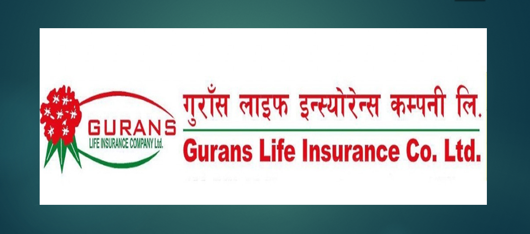 साविक गुराँस लाइफको नयाँ बोनसदर सार्वजनिक, बीमितले अधिकतम ७६ रुपैयाँसम्म पाउँदा कुन योजनामा कति ?