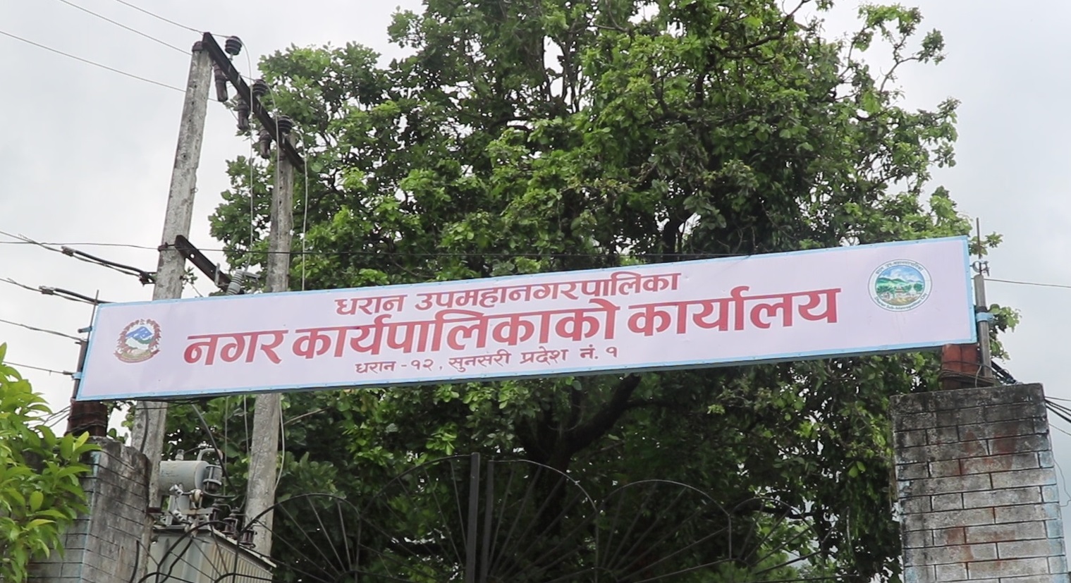 बीपी प्रतिष्ठानका कामु उपकुलपति कार्कीलाई तत्काल कारबाही गर्न धरान उपमहानगरको आग्रह