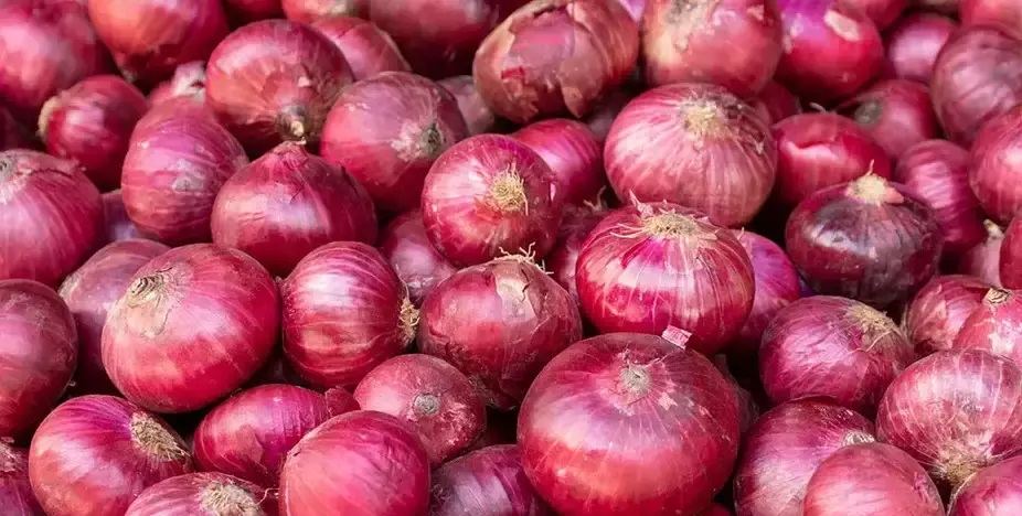 भारतले प्याज निर्यातमा फेरि लगायो प्रतिबन्ध