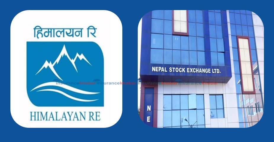 नेप्सेमा कारोबारको ५ दिनमै १० औँ ठूलो कम्पनी बन्यो हिमालयन रिइन्स्योरेन्स 