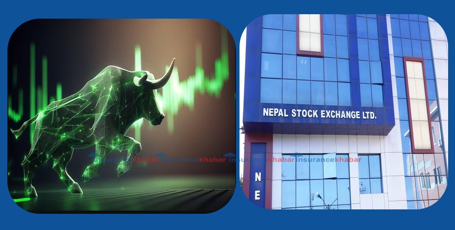 सातामा हाफ सेन्चुरी घटेको बजारमा पनि १०% माथि बढ्ने शेयर कुन-कुन ?