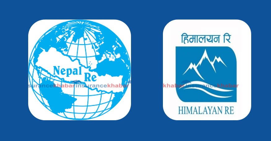 नेपाल पुनर्बीमा र हिमालयन रिइन्स्योरेन्समा ठूला ब्रोकरबाट कस्तो रह्यो खरीद विक्री ? 