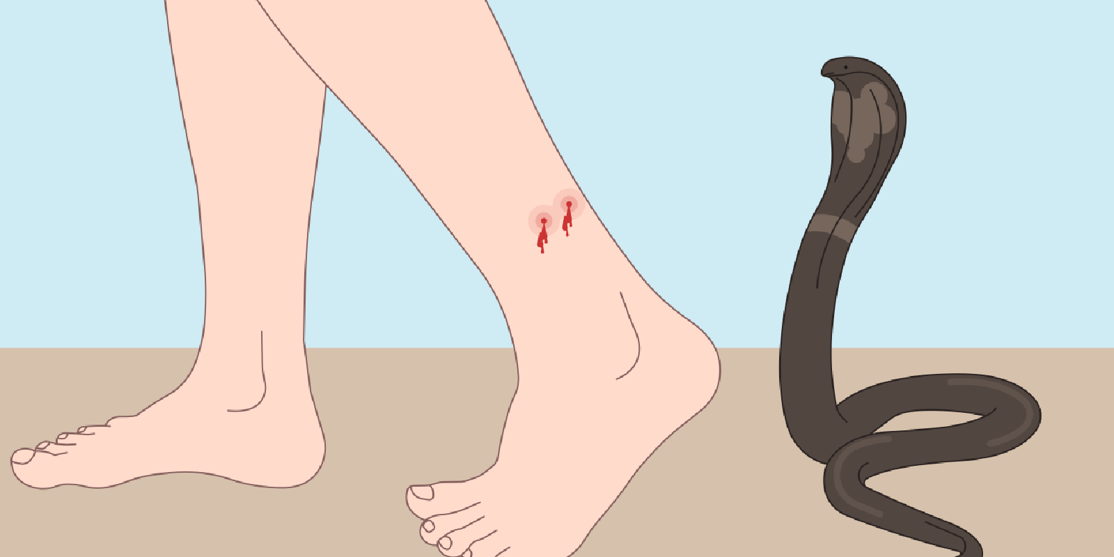 बीमाको रकम हत्याउन नातिले पार गरे सबै हद, सर्पले टोकाएर हजुरआमाको हत्या