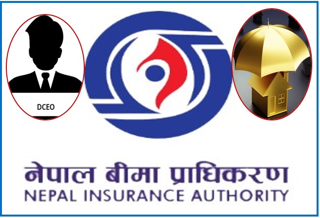 एक दर्जन बीमा कम्पनीमा डीसीईओ पद रिक्त, प्राधिकरणले कस्तो गर्ला कारबाही ?