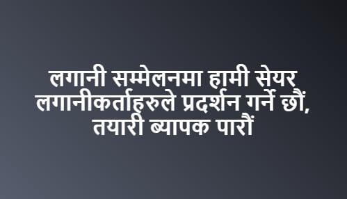 सरकारलाई दबाब दिन लगानी सम्मेलनमा प्रदर्शन गर्ने तयारीमा शेयर लगानीकर्ता