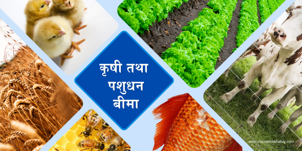 कृषि बीमाको अनुदानमा सरकारको रु. १ अर्ब ६१ करोड खर्च