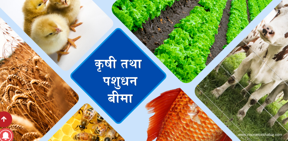 मन्त्रिपरिषदद्वारा बाली तथा पशुधन बीमामा अनुदान दिने कार्यविधि खारेज