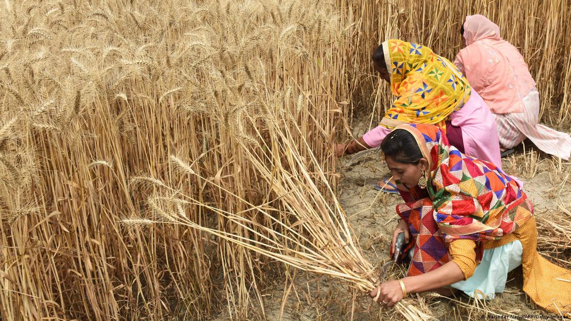 Suggestion to the Indian government to include Lu in the disaster management plan