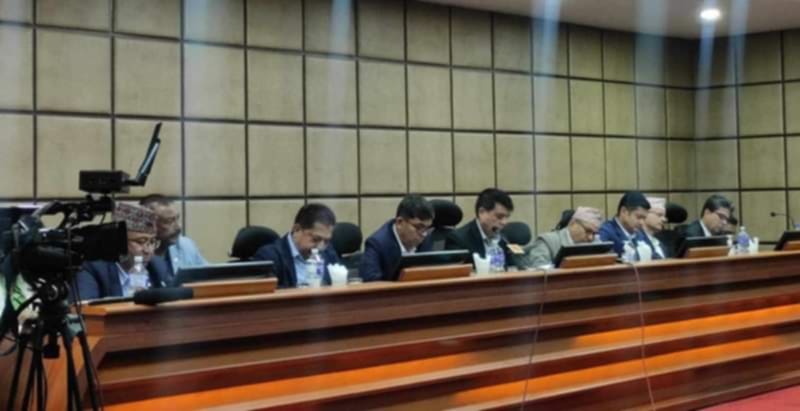 बजारलाई चलायमान बनाउन मौद्रिक नीतिमा लचकता अपनाउनुपर्छः अध्यक्ष ढकाल