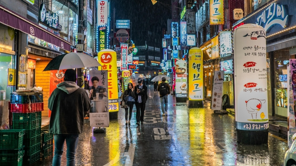 नयाँ आईएफआरएस अन्तर्गत अस्थिर लगानी प्रतिफलको सामना गर्दै कोरियाली बीमक