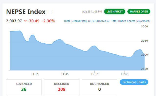 नेप्सेको वेबसाइटमा फेरि समस्या, लगानीकर्ता हैरान