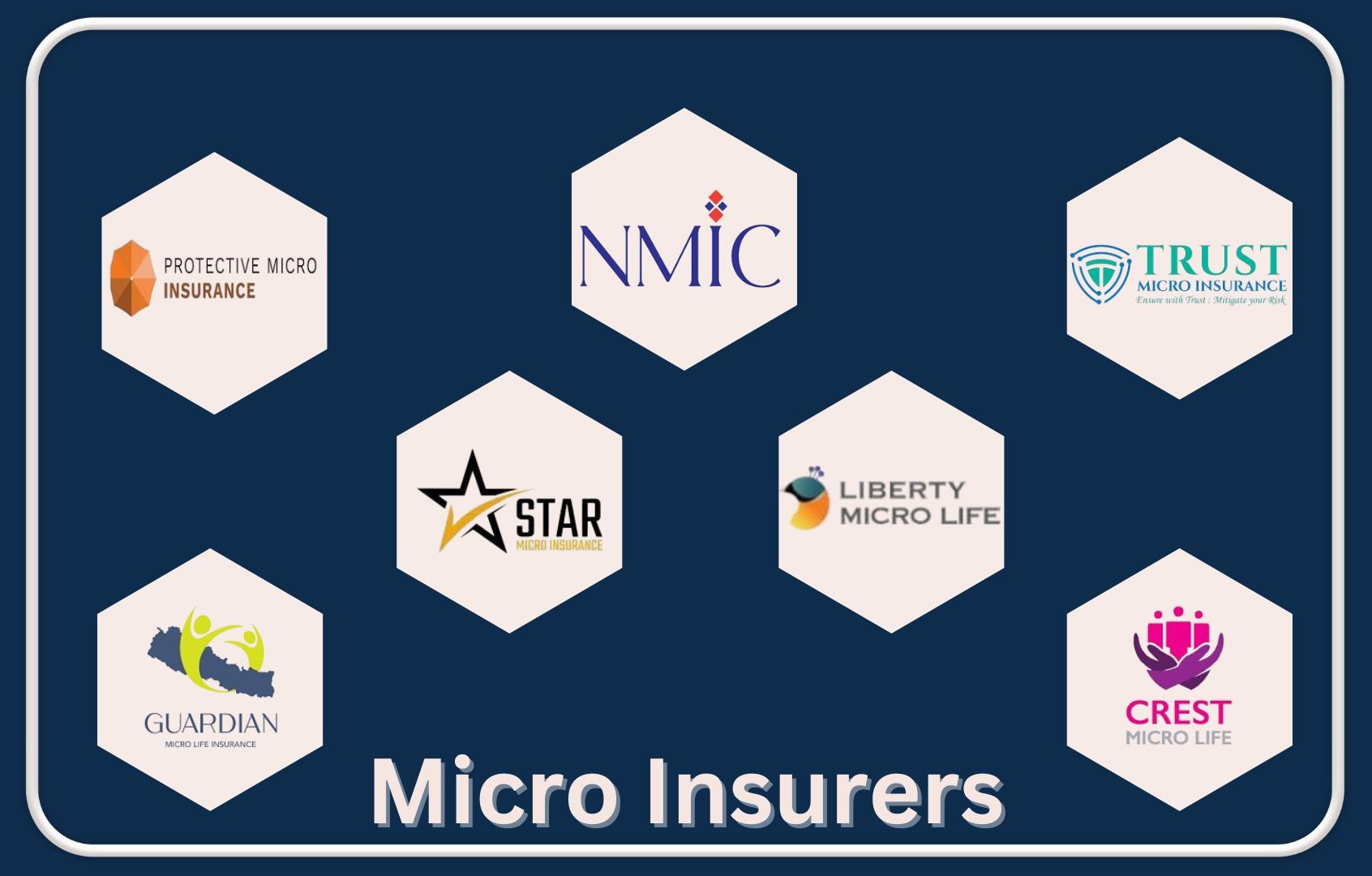 नेपालमा समावेशी बीमाका लागि बढ्दो अवसरसँगै चुनाैती पनि