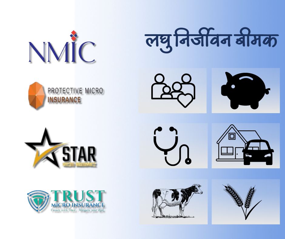 लघु निर्जीवन बीमामा अस्वस्थ प्रतिस्पर्धाका बीच तेब्बर बढ्यो बीमाको आकार