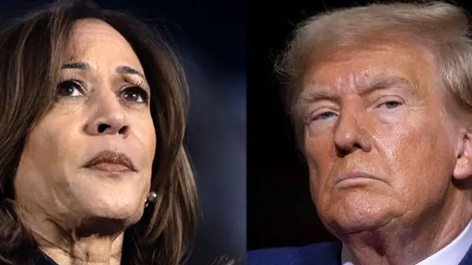 अमेरिकामा राष्ट्रपति चुन्न आज मतदान, कहिलेसम्म आउला नतिजा ?