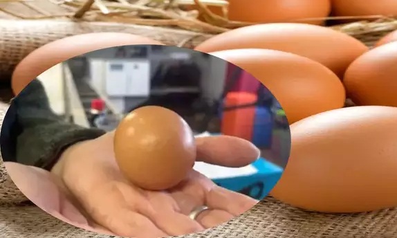 An egg was sold for Rs. 75,000, what is special about it?