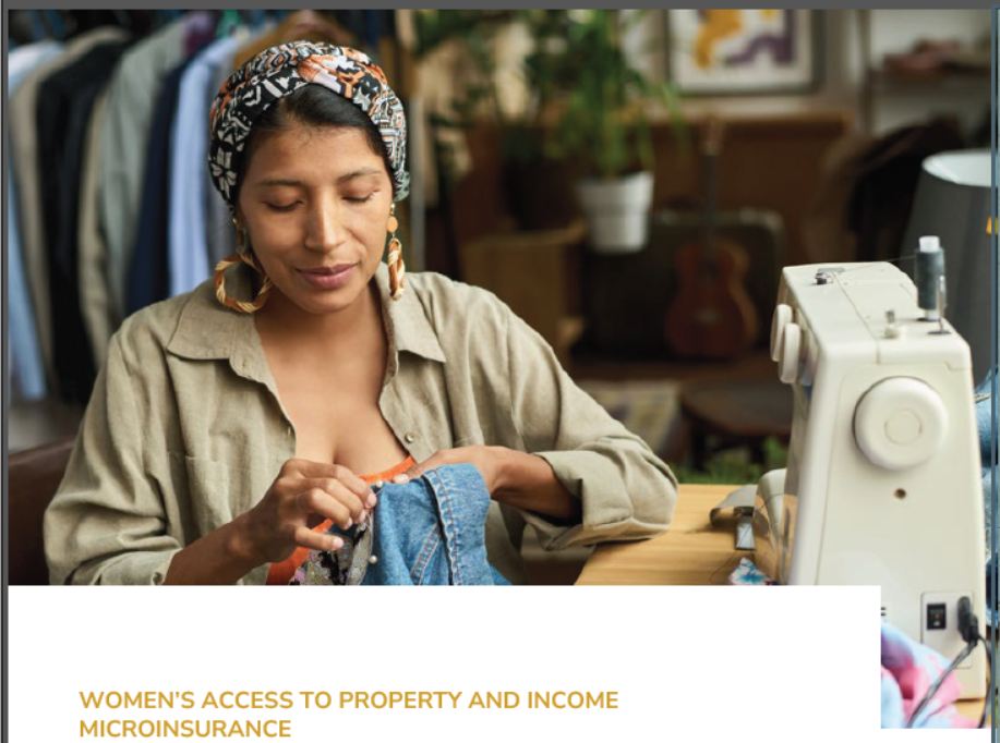 South Africa’s experience in micro-insurance programs aimed at women